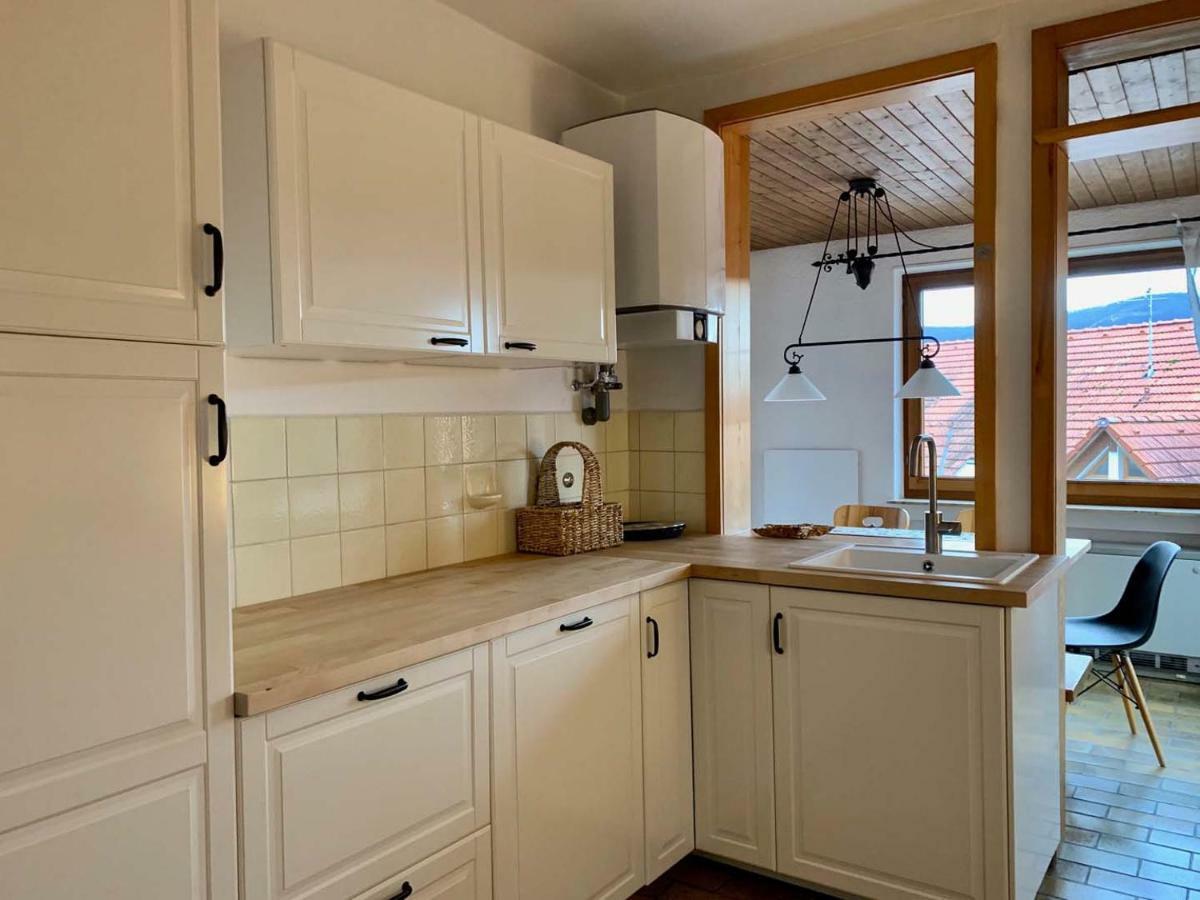 Deluxe Business City Apartments Metzingen Villa Landenberger المظهر الخارجي الصورة