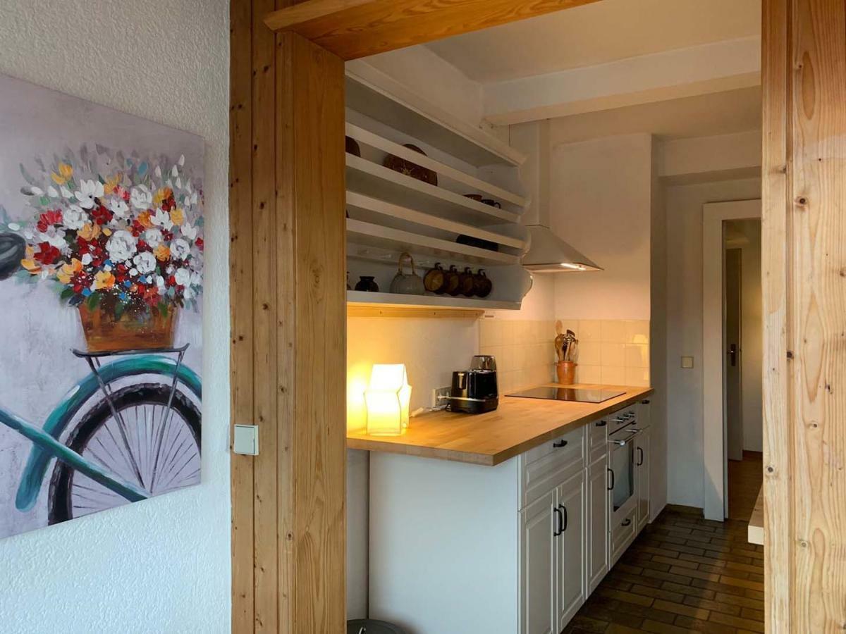 Deluxe Business City Apartments Metzingen Villa Landenberger المظهر الخارجي الصورة
