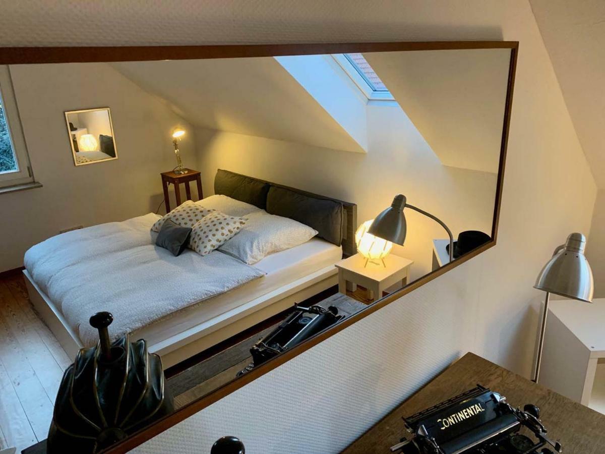 Deluxe Business City Apartments Metzingen Villa Landenberger المظهر الخارجي الصورة
