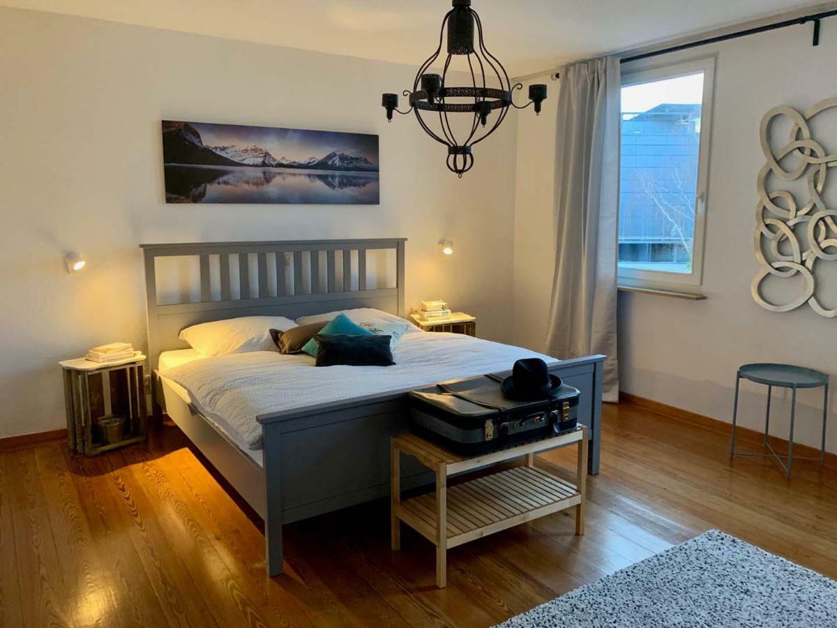Deluxe Business City Apartments Metzingen Villa Landenberger المظهر الخارجي الصورة
