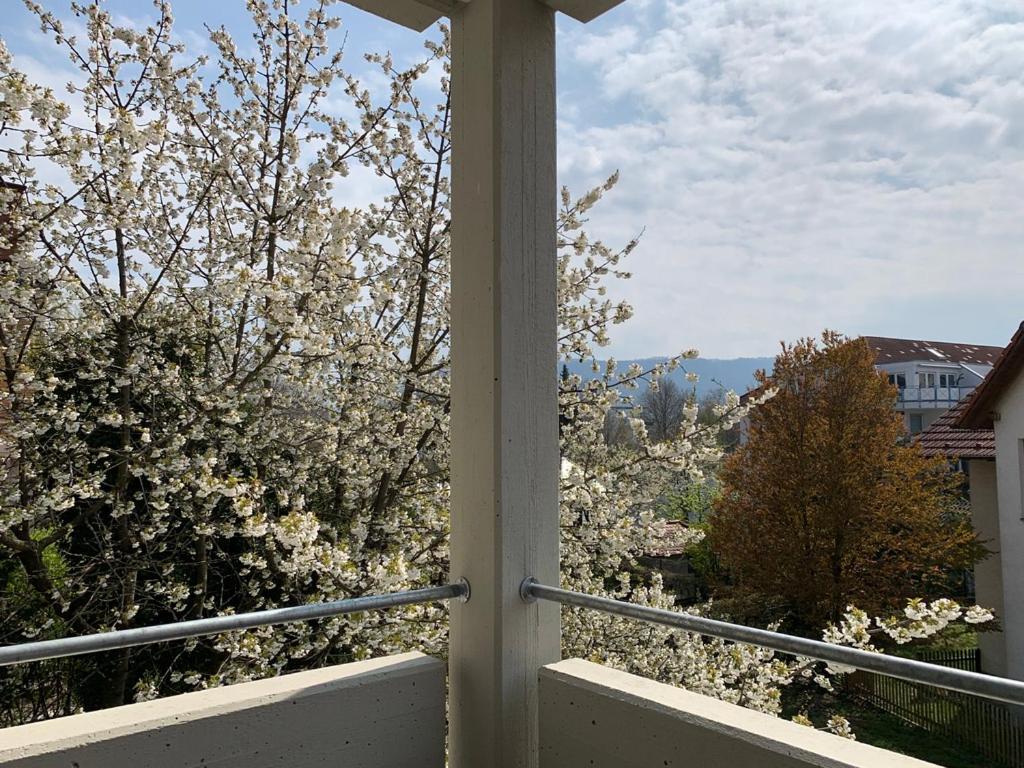Deluxe Business City Apartments Metzingen Villa Landenberger المظهر الخارجي الصورة